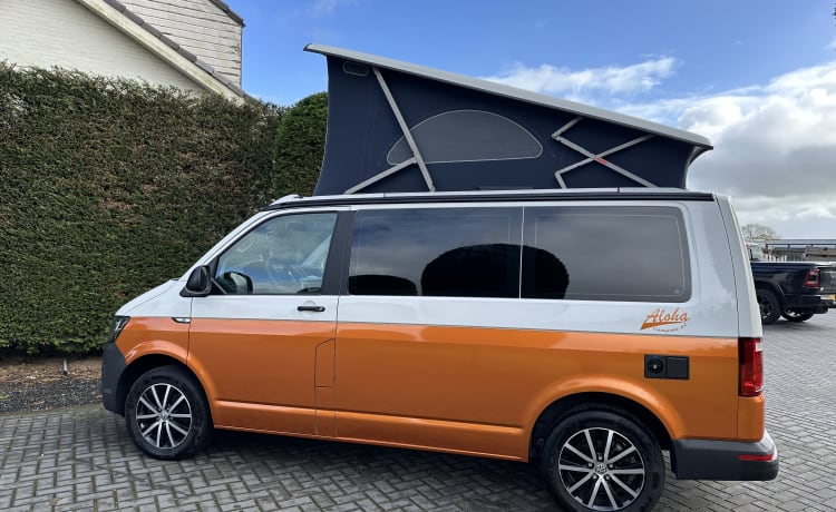 Camper Bronze – p Volkswagen bus from 2018