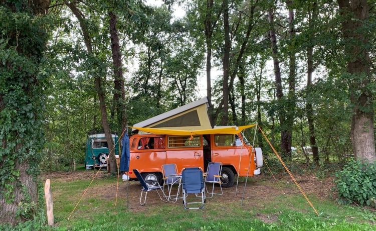 Orange  – Trendy orange Retro Volkswagen T-2 Camper