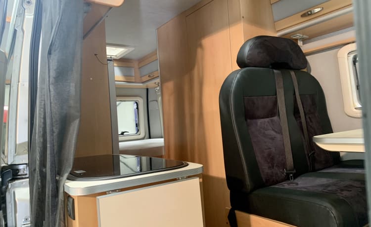 Perfekter Camper Van Fiat Bavaria Camp zu vermieten - Automatik