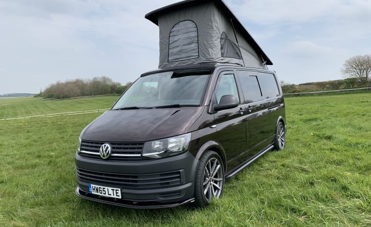 VW T6 LWB Camping-car adapté aux familles et aux chiens