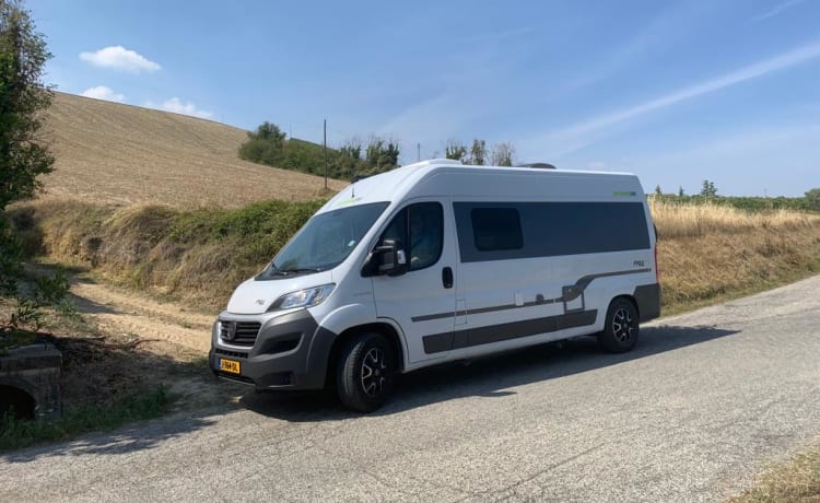 Freedom – Bus camper Hymer Free 600 anno 2018