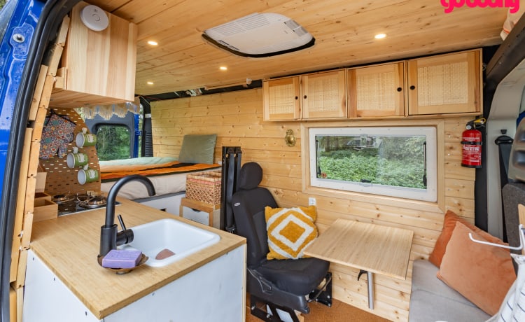 Ollie – Comfortable, attractive 2 person bus camper