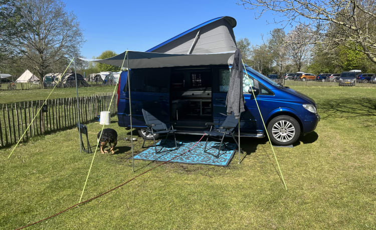 Booster Blue – Mercedes Viano bus camper