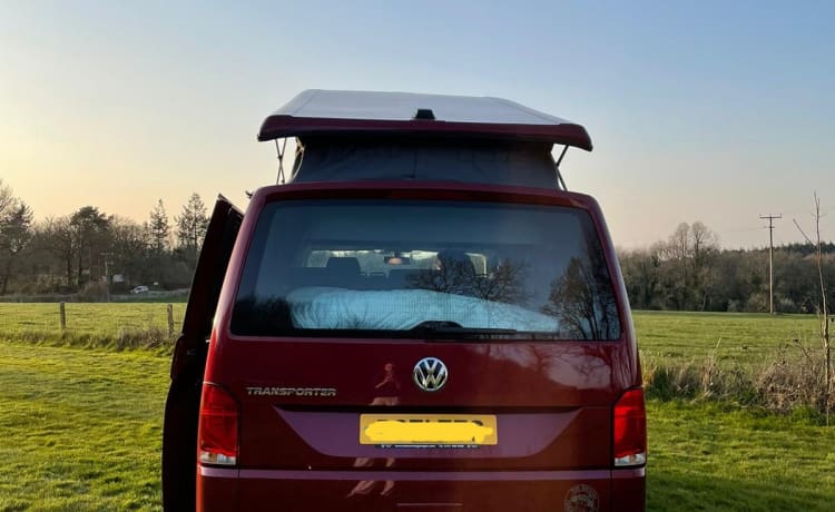 Rose – VW T6.1 - Kingsize bed - Keukenpod - Nieuw voor 2022