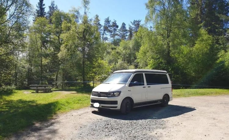 STEFAN – 4 berth Volkswagen campervan from 2018