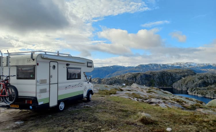 Gezellige frisse vintage camper, zelfvoorzienend.