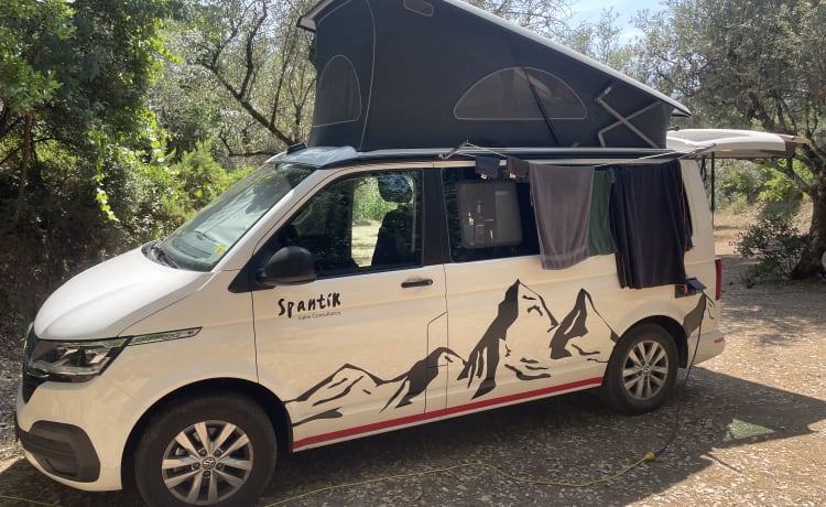 Spantik – 4p Volkswagen California campervan uit 2022