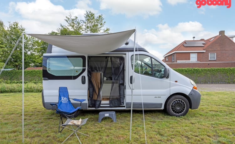 Renault Camper bus – Leuke en sterke campervan uit 2005