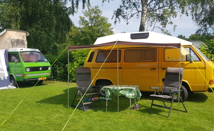 CHICO – gemütlicher, gepflegter, kanariengelber Oldtimer VW T3 zu vermieten!