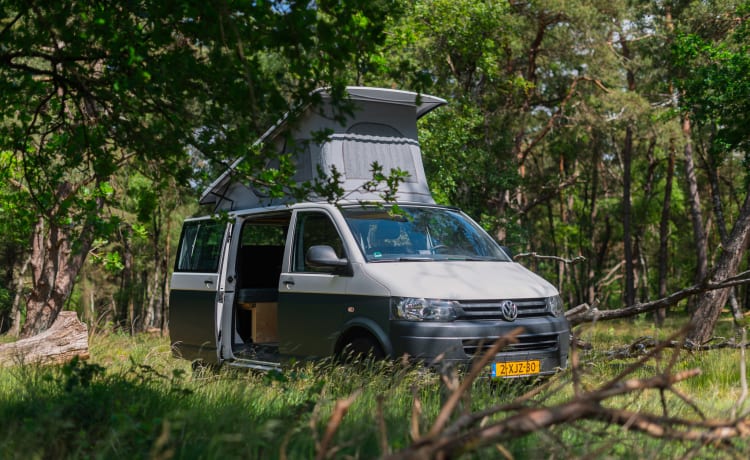 Binkie – Volkswagen Transporter unico e durevole