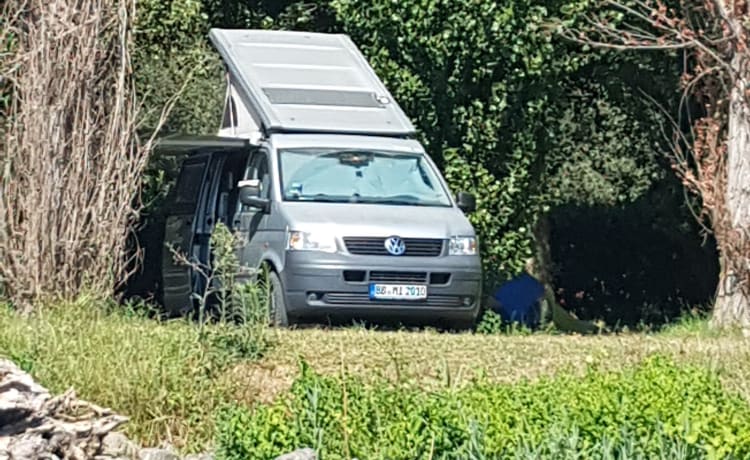 Big Al – Big Al, VW Campmobile, super confortable