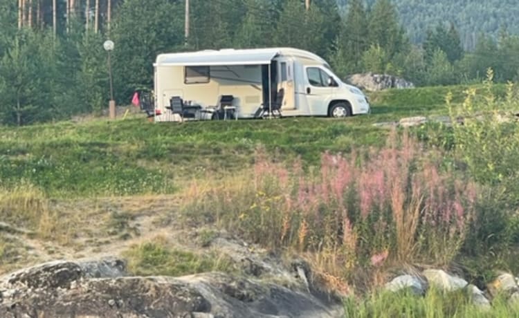 4-Personen-Hymer-Teilintegrierter ab 2019