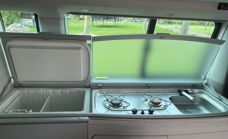 De Witte – Avontuurlijke Volkswagen California T6 - 2 tot 4 pers 