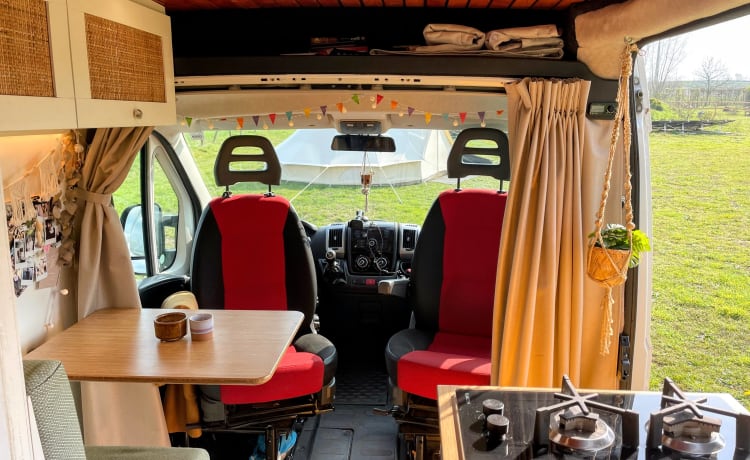 Groot – 🚐 Completely off-grid and equipped with all the luxury! 🏕️