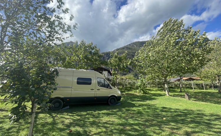 Gezellige camperbus met lekker veel ruimte!