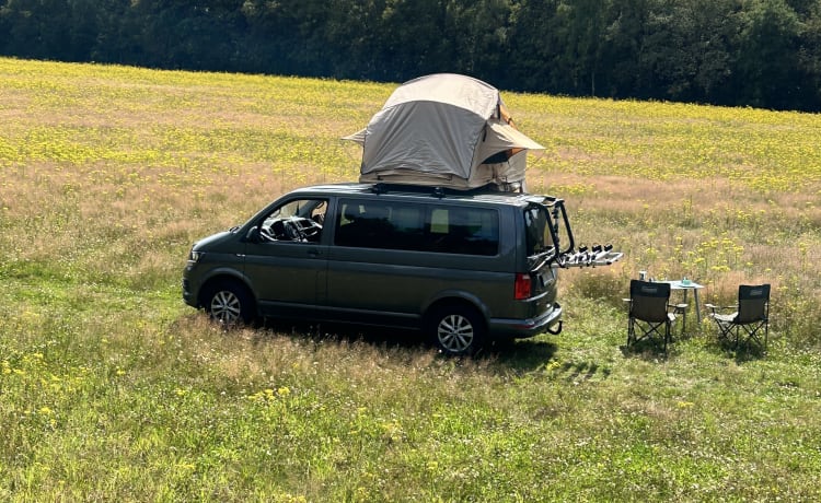 Volkswagen multivan met daktent