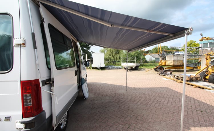 Ordentlich 4 Pers. Fiat Ducato Buscamper (geräumiges Festbett); 2.8 TD mit Grube