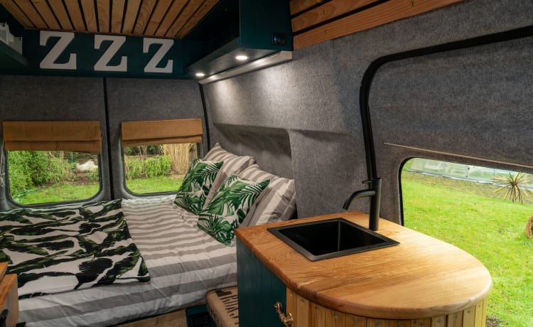 Sparrow's nest – Off-Grid-Wohnmobil mit durchgehendem Doppelbett *Haustierfreundlich*