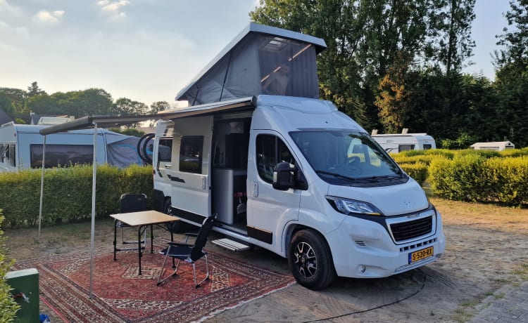 VANTastic – Weinsberg CaraTour 600MQ 2022 | 4 Leute