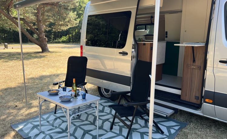 Beautiful Mercedes Sprinter bus (interior 2023)