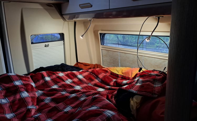 Challenger 6m autarker Campervan mit allem was man braucht