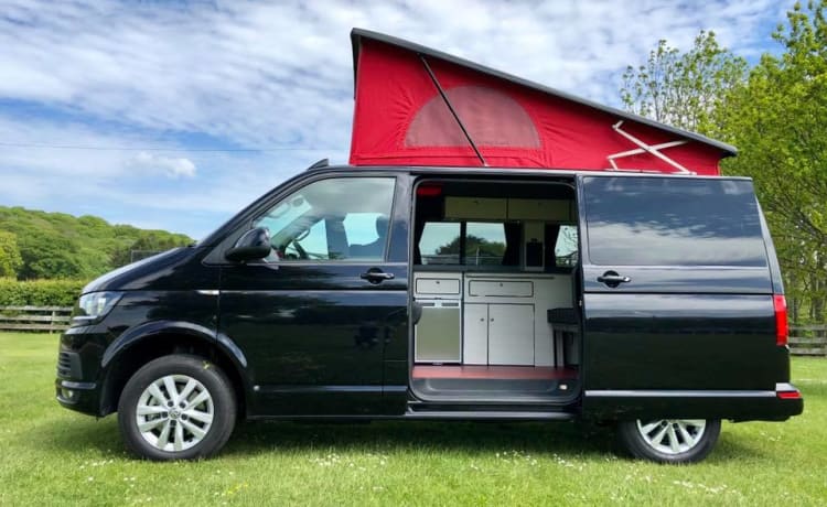 Beauty – 2019 VW T6 Campervan 4 couchettes