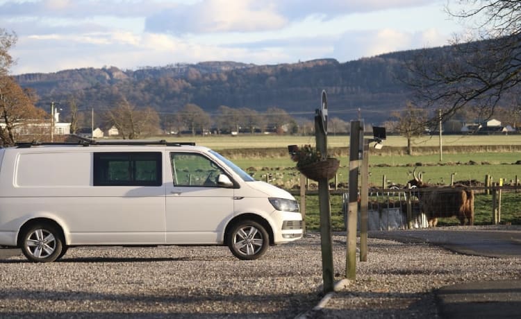 Sunny Scotland Campers  – Volkswagen transporter, sleeps 2 and pet friendly