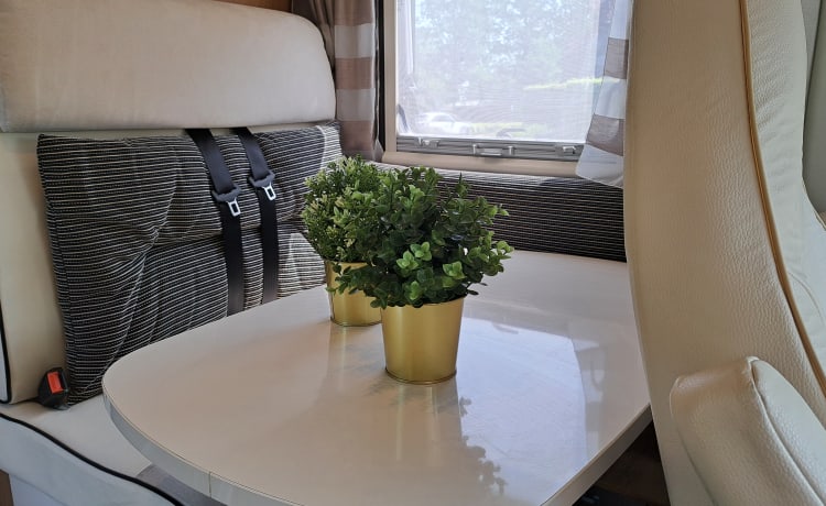 Camper semi-integrato Rimor 2p del 2017