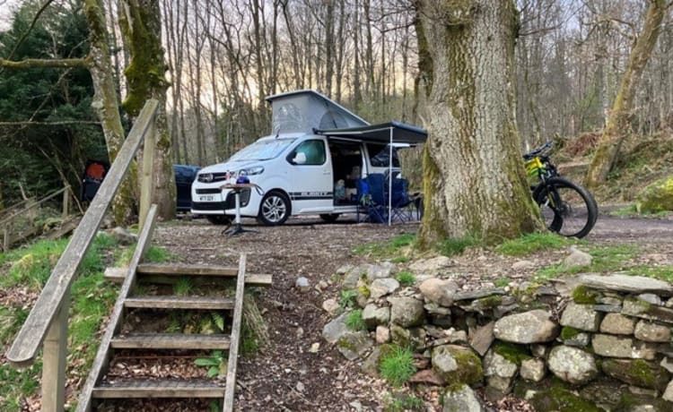 Blighty – Nieuwe Pop Top Campervan 4 Slaapplaatsen