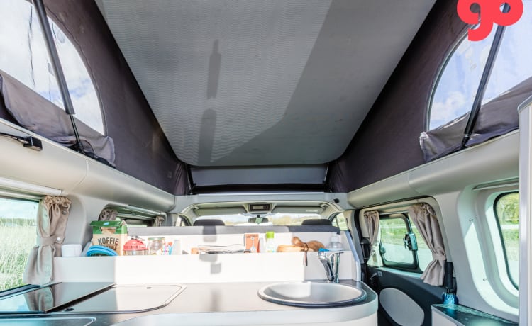 Henry's Ford – bel camper bus Ford Nugget (4-5 pers), possibilmente. con tenda per autobus e portabiciclette!