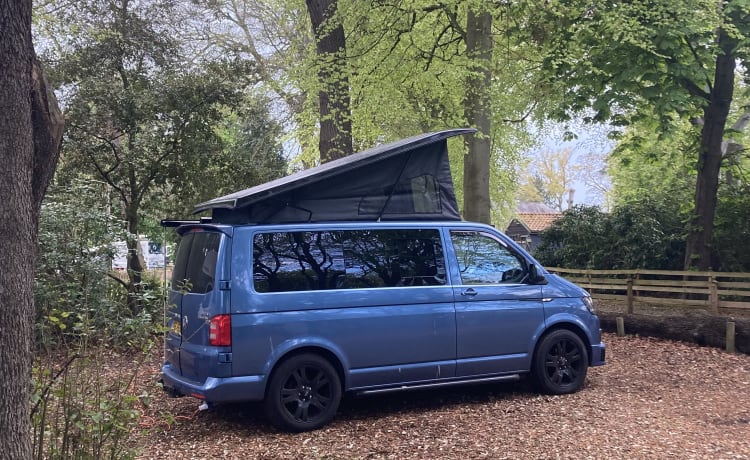 Buzz the Adventure Wagon – VW T6 Campervan mit 4 Schlafplätzen