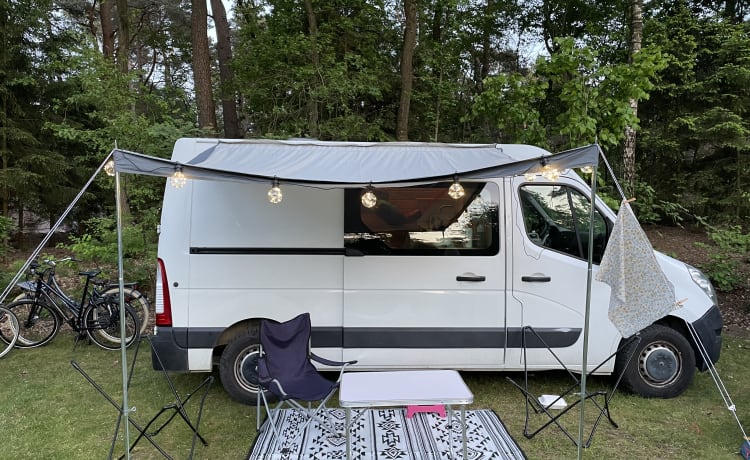 Pippilotta – Ideale Renault camperbus voor solo of duoreizigers