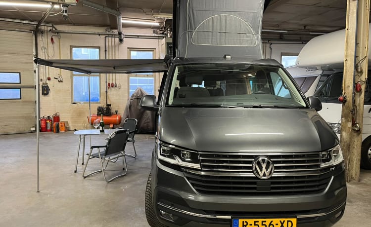 Grijze VW California – Camperbus VW California T6 nuovo di zecca del 2021. Possibilmente con rimorchio a motore.