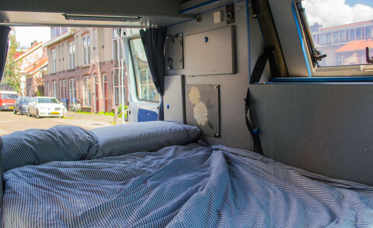 Scudo – Schöner kompakter Camper 🚐🏝