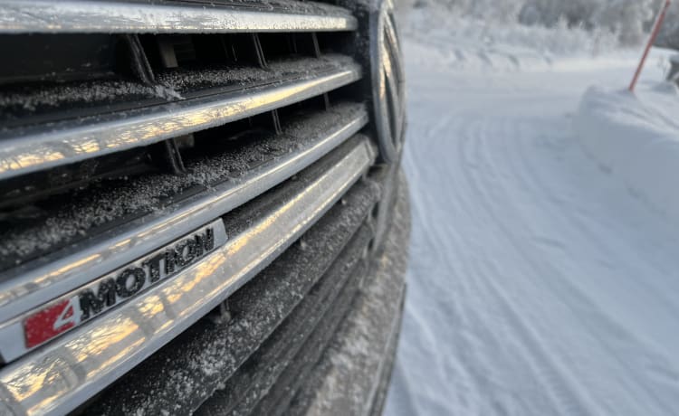 4x4 VW California Ocean 6.1 prêt pour l'aventure 