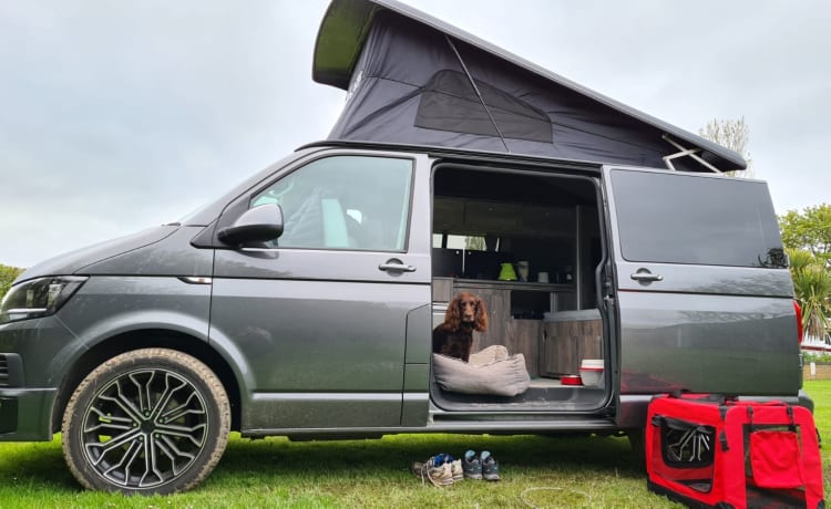 Nelly – 2017 VW T6 Camper mit 4 Schlafplätzen