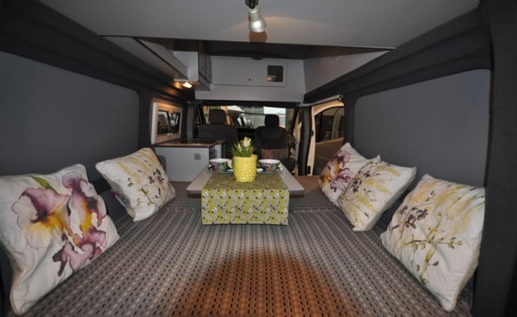 Type 2a – Modern and trendy decorated bus camper