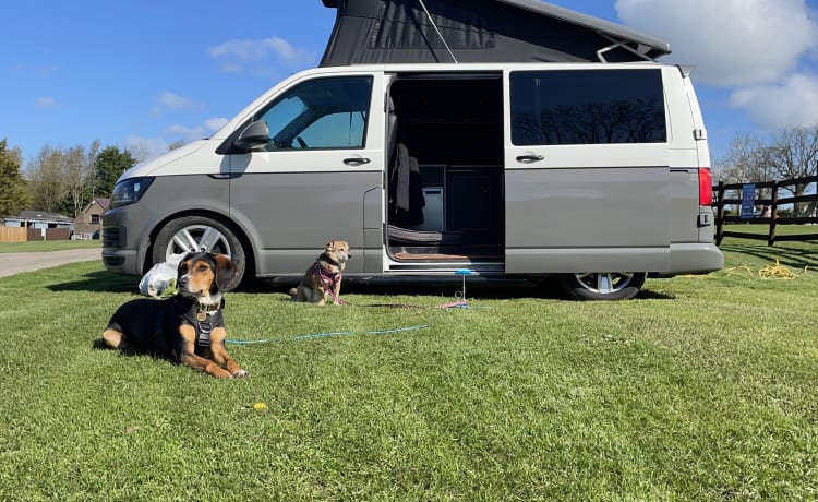 Ivy – Camping-car VW acceptant les animaux de compagnie - MK13 Milton Keynes