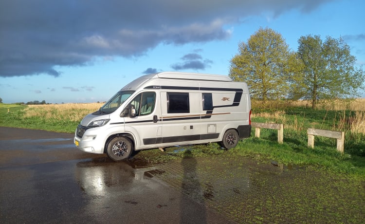 4p camperbus automaat en slaaphefdak uit 2021