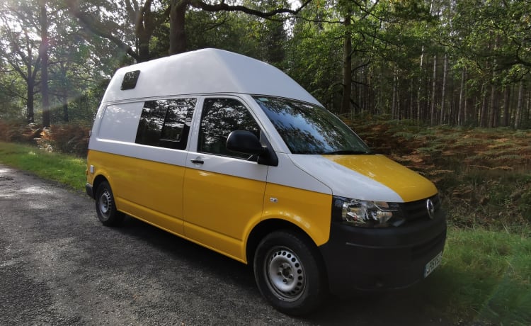 Sunny  – 4 berth Volkswagen campervan from 2015