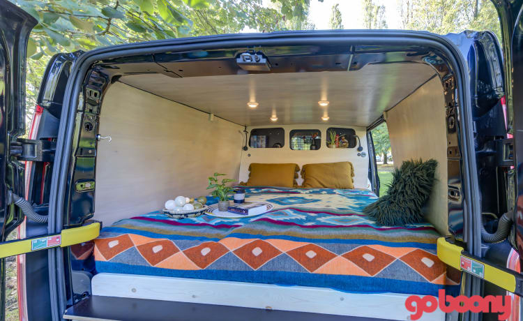 Ford Campervan avec grand lit et cuisine gigogne