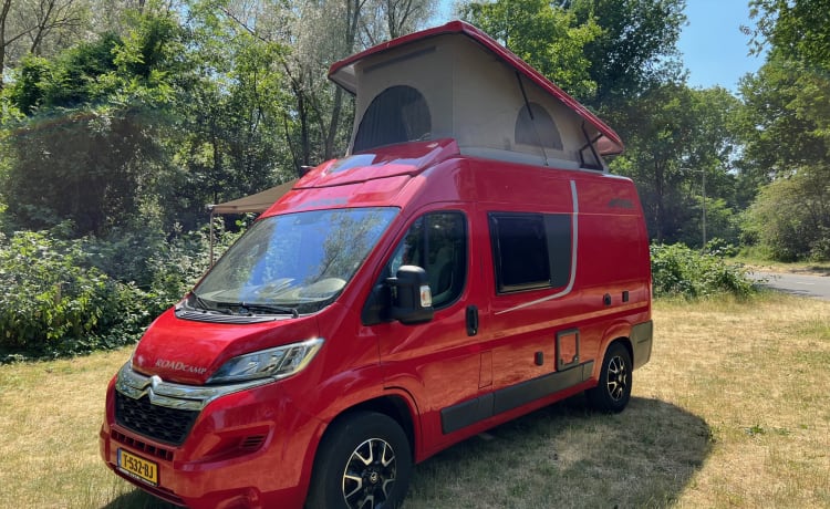 Nice bus camper, with lifting roof.