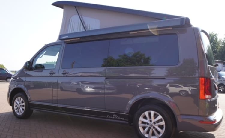 Trans LWB Auto – VW Transporter T6.1 (LWB) Automatik - Brandneu