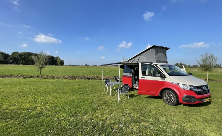 De ultieme camper: een vrijwel nieuwe Volkswagen California T6.1