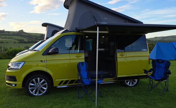 Camping-car vw de luxe 2019 automatique basé à Cockermouth