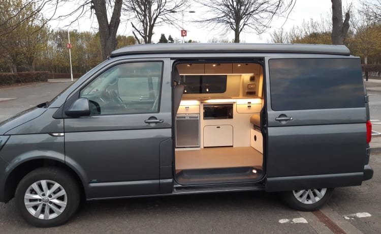 Gypsy – 2 - 4 persoons Volkswagen bus vanaf 2019