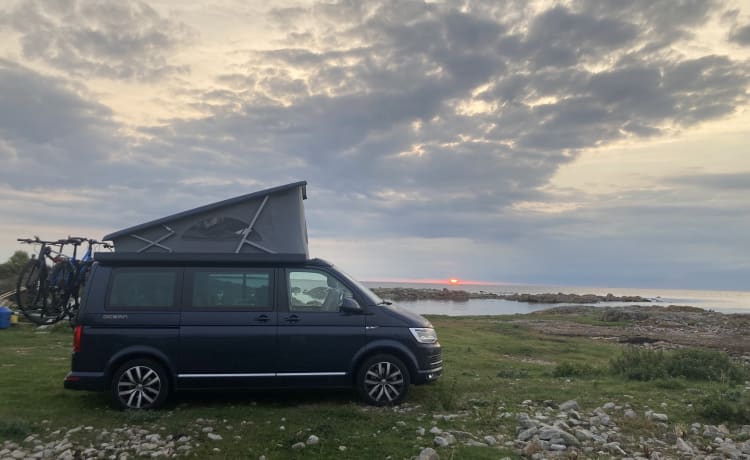 Volkswagen T6 California Ocean 4-motion DSG automatic