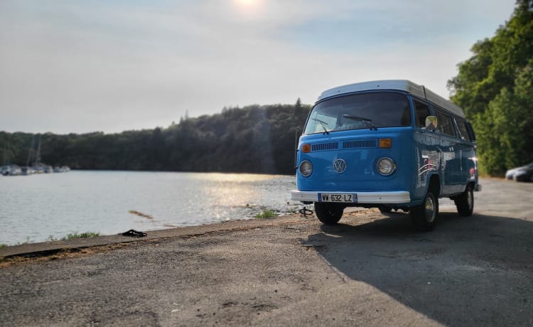 Zeppelin – Vintage Trip, combi westfalia 