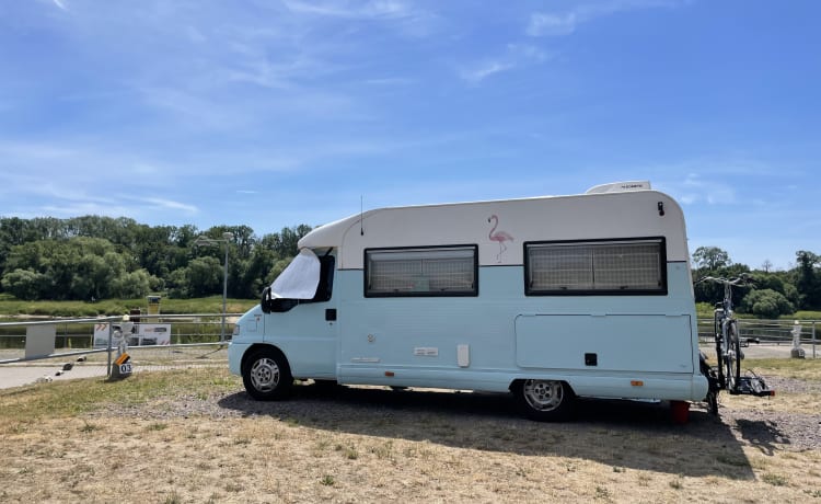 Budster – Hippe Fiat camper voor 2-4 personen