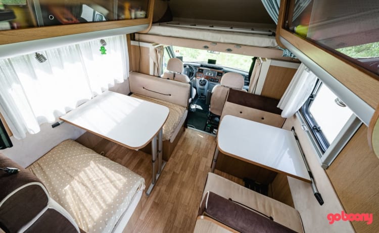 "De Koala" – Spacious kidsproof camper for the whole family (including friends!)